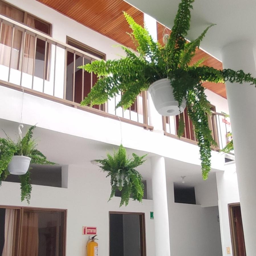 Luna Verde Hotel Neiva  Luaran gambar